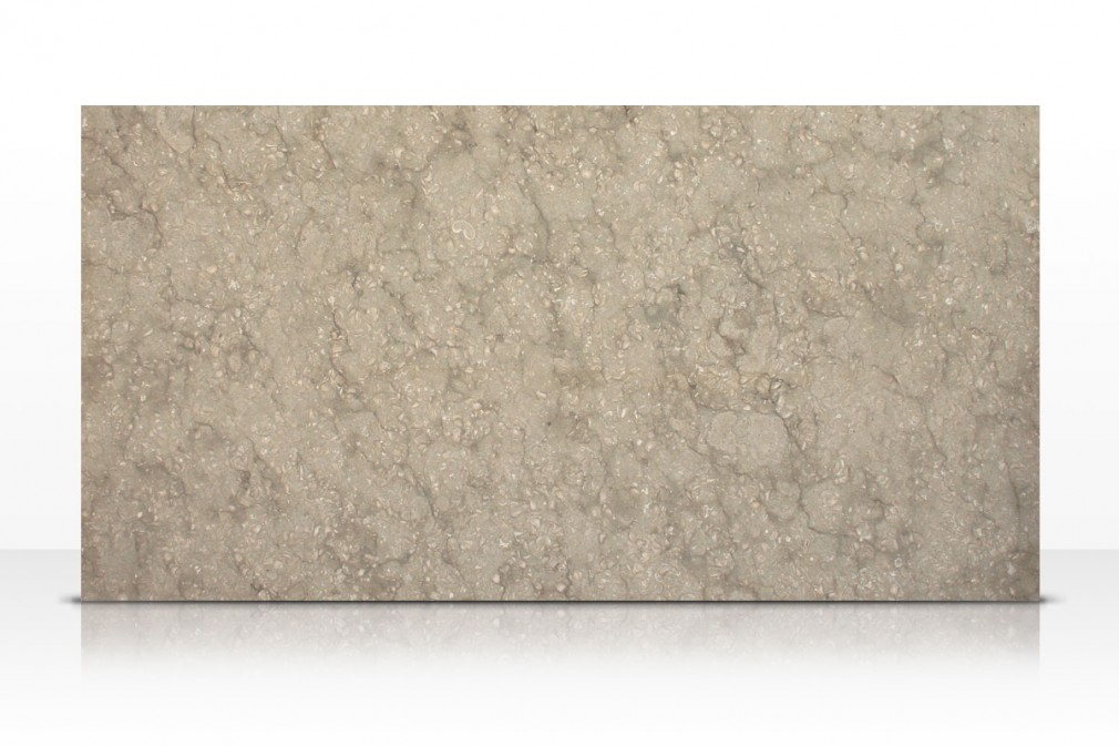 Fossil Limestone Granite Marble Travertine And Precious Stone